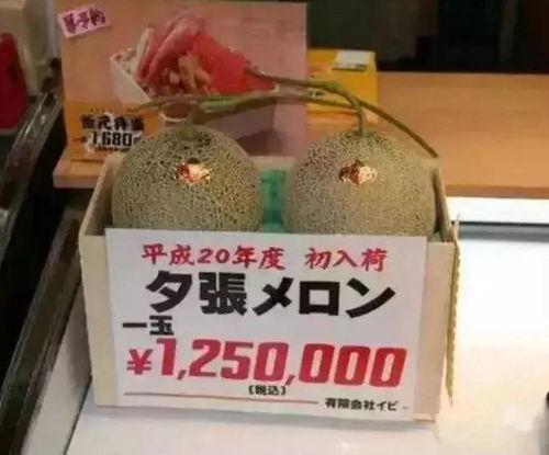 茫茫娱乐吃瓜,揭秘“茫茫娱乐吃瓜”背后的热点事件